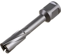 Фреза кольцевая TCT (14x55 мм; Weldon 19) ROTORICA RT.4225014