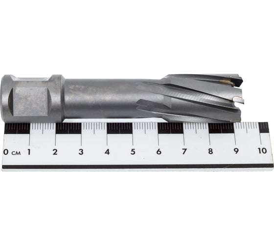 Фреза кольцевая TCT (20x55 мм; Weldon 19) ROTORICA RT.4225020