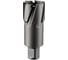 Фреза кольцевая TCT (63x55 мм; Weldon 19) ROTORICA RT.4225063 1