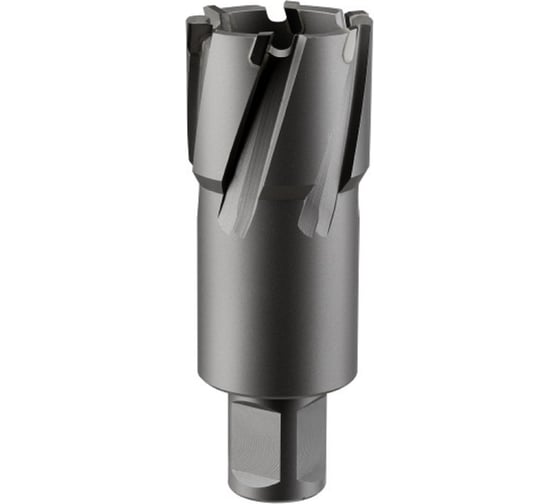 Фреза кольцевая TCT (59x55 мм; Weldon 19) ROTORICA RT.4225059 1