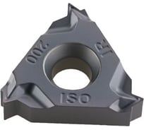 Пластина резьбовая 10 шт/уп 16IR200ISO HARDSTONE 4603312182615