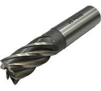 Фреза концевая TORNERI ц/х ф 25x45x121 мм z=6 046392