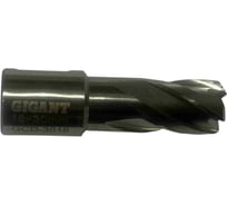 Сверло корончатое, HSS, L=30 мм, d=16 мм Gigant GCD-3016
