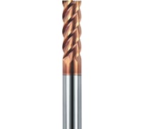 Фреза G6-4FS-1000-L (10х10х30х100 мм) АКСИС 00001371462