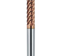Фреза G6-6FS-0600-M (6х6х18х60 мм) АКСИС 00001371502