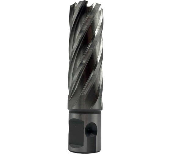 Сверло корончатое TORNERI 21х50 мм, HSS, Universal / Weldon 19 Т023634
