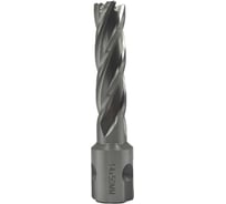 Сверло корончатое TORNERI 14х50 мм, HSS, Universal / Weldon 19 Т023627