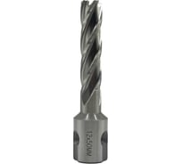 Сверло корончатое TORNERI 12х50 мм, HSS, Universal / Weldon 19 Т023624