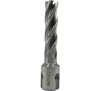 Сверло корончатое TORNERI 13х50 мм, HSS, Universal / Weldon 19 Т023625