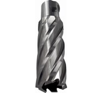 Сверло корончатое Буревестник 23x50 мм, HSS, Universal / Weldon 19 B023636