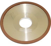 Круг алмазный TLX 12А2-20град.тарельчатый 200x10x2х51 SSD-2АС4 80/63 100 В2-01 52,5кар. 75032