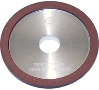 Круг алмазный TLX 12А2-20град.тарельчатый 75x6х2x16 SSD-2АС4 160/125 100 В2-01 11,4кар. 75023