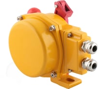 Датчик остановки конвейера NNOLEVEL в алюм. корпусе, -40...+75С, 250 VAC, 10 A, IP65, 2 релейных выхода IIL-RES-N