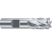 Фреза концевая из быстрорежущей стали New Century SUPER HARDENED 21х20х38х104 мм, с 6-ю зубьями, с углом спирали 30, укороченная, ESH596210