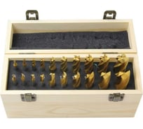 Набор фрез с титановым покрытием FABTEC из 20шт, от 3 до 20 мм 65674