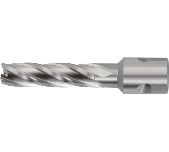 Сверло корончатое по металлу WOLFSTAR 25x55 мм, Р6М5К5, хв-к Universal/Weldon 19 мм cw00217