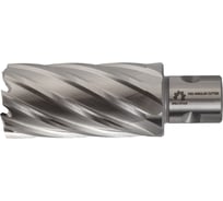 Сверло корончатое по металлу WOLFSTAR 21x55 мм, Р6М5/М2, хв-к Universal/Weldon 19 мм cw00145