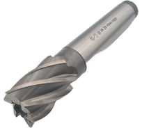 Фреза концевая ОТ к/хв 38x53x178 мм z-6 КМ4 HSS 00-00000559