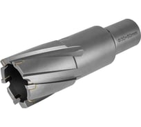 Фреза по металлу Elitech, 30x55мм Weldon 19мм TCT 1110.010300 205064