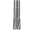 Фреза по металлу Elitech, 24x55мм Weldon 19мм TCT 1110.010000 205061 2