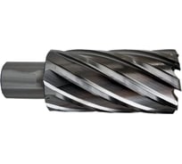 Сверло корончатое ООО ПКФ Сварком 30x30 мм, HSS, weldon 19, 1 шт k00019071