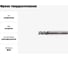 Фреза твердосплавная по алюминию ССА01-3F-12075.12 (12х12х30х75 мм) INREKO 00002796 2