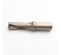 Корпусное сверло DESKAR C20-4D20-83SP06 00-00049628