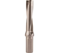 Корпус сверла Debever Machining Solutions серия Standard D=25.0 мм, 4D, W25 DB-S-D4SP07250W25E