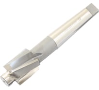 Цековка TLX D 46.0 х d24.0x236 к/х Р6М5 Z-4 с постоянной направляющей цапфой, КМ4 75801