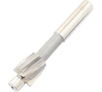 Цековка TLX D 20.0 х d11.0x100 ц/х Р6М5 Z-4 с постоянной направляющей цапфой, dхв 12.5мм 75818