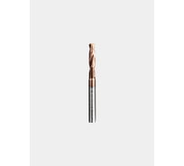 Сверло твердосплавное ц/х РОСИНСТРУМЕНТ 5.5x6х28x66 3D с подачей СОЖ TiSiN 1355062866