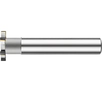 Фреза Т-образная для пазов сегментных шпонок DESKAR 22x6(22x12x100-6) ц/х z=6 ВК30(ВК8) 00-00061682