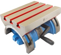 Стол координатный неповоротный наклоняемый TLX 302x241x160мм WT-12 75828