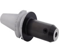 Патрон для концевых фрез с хвостовиком Weldon TTM BT40-SLN10-100 конус MAS403 4603390587548