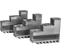 Кулачки к патрону токарному Beltools 160 3шт компл. прямые полка 8,8 ширина 20 H2=10 L=69 мм, высота 53 D=12 мм, d=22,5 мм h=12 мм, L1=22,5 мм, L2=24,5 мм ri.262.201