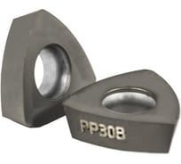 Пластина сменная профильная TR 15165T310 PP30B Русский Инструмент ri.473.1