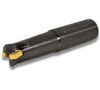 Фреза концевая 30 с механическим креплением 4гр пл-н BLMP 1105 Z=2 ц/х=32 AHF100-R030.11.02.d32 Русский Инструмент ri.481.14