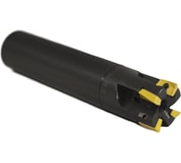 Фреза концевая 25 с мех. креп. 4гр.пл. APKT 11T3.. Z=4 ц/хв dхв=25 СОЖ Русский Инструмент ri.193.178