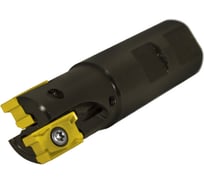 Фреза концевая 25 с механическим креплением 4гр пл-н LNKX 17T6 Z=2 ц/х Weldon=25 СОЖ AE490-R025.17.02.W25.C NOX Русский Инструмент ri.193.231