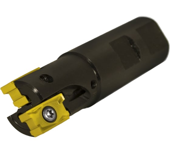 Фреза концевая Русский Инструмент 25 с механическим креплением 4гр пл-н LNKX 17T6 Z=2 ц/х Weldon=25 СОЖ AE490-R025.17.02.W25.C NOX ri.193.231 1