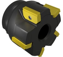 Фреза насадная резьбонарезная  100 с механическим креплением 2гр пл-н 30N/E Z=4 dпос=32мм AR100-R100.30.04.A32 Русский Инструмент ri.482.26