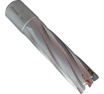 Сверло корончатое PROTON d19мм (h=50) ТСТ Т0000023472