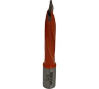 Сверло сквозное GREATWOOD HW 8x70 S10x20 LH s TL53559