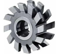 Фреза вогнутая Sekira 100 R10 Р6М5 00-00054489