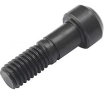 Винт для державок DESKAR M6.0х25 MGEHR/L 10шт 00-00063282