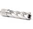 Сверло корончатое Magnitronic HSS (17х50 мм, Weldon19) DNHX40170 DNHX-40170 4