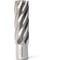Сверло корончатое Magnitronic HSS (22х50 мм, Weldon19) DNHX40220 DNHX-40220 1
