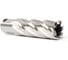 Сверло корончатое Magnitronic HSS (22х50 мм, Weldon19) DNHX40220 DNHX-40220 4