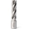 Сверло корончатое Magnitronic HSS (15х50 мм, Weldon19) DNHX40150 DNHX-40150 1