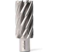 Сверло корончатое Magnitronic HSS (31х50 мм, Weldon19) DNHX40310 DNHX-40310